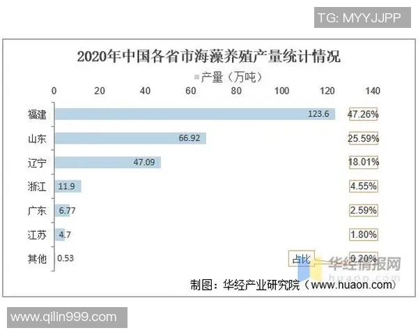 辽宁与福建比赛技术统计全面分析与对比解读